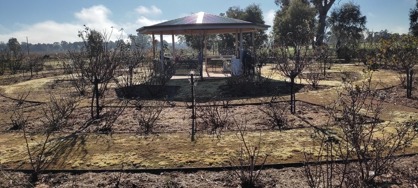The rose garden rotunda in winter