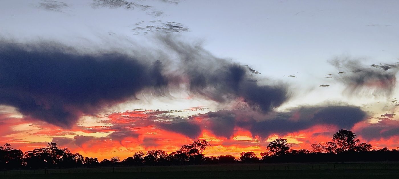 Sunset over the paddocks